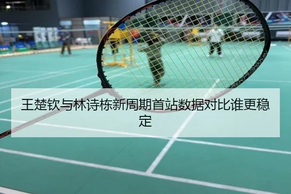 王楚钦与林诗栋新周期首站数据对比谁更稳定