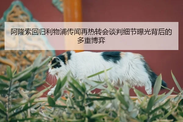 阿隆索回归利物浦传闻再热转会谈判细节曝光背后的多重博弈